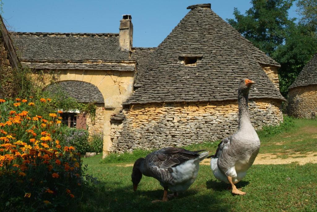 Madame Vacances - Residence Du Golf D'Armagnac Eauze 部屋 写真